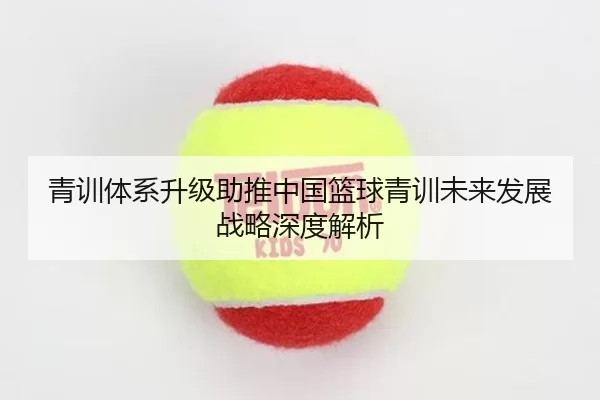 青训体系升级助推中国篮球青训未来发展战略深度解析